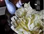 手撕包菜的做法图解5
