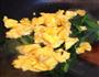 菠菜炒鸡蛋的做法图解5