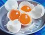 腌咸蛋黄的做法图解4
