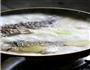 豆芽鲫鱼汤的做法图解5