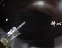 大白菜番茄面筋煲的做法图解4