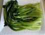 耗油菜心的做法图解5