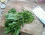 菠菜煎饼的做法图解2