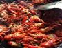 香辣小龙虾的做法图解2