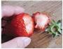 草莓酱的做法图解3