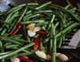 手撕长豆角的做法图解4