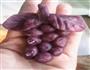 紫薯葡萄的做法图解1