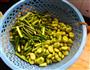 蚕豆炒蒜苗的做法图解1