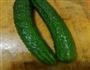 凉拌黄瓜的做法图解1