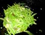 清炒芸豆丝的做法图解2