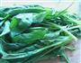 夏季养生菜-核桃杏仁菠菜的做法图解2