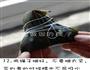 鲜肉粽子-多图详解四角粽子的包法的做法图解11