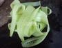 蒜泥黄瓜片的做法图解3