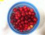 樱桃果酒的做法图解1