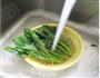 菠菜面的做法图解2