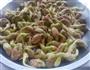 自做花生豆芽的做法图解4