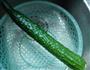 蒜茸豆豉炒黃瓜的做法图解1