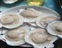 蒜茸粉丝蒸扇贝的做法图解1