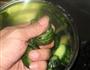 凉拌黄瓜的做法步骤5