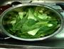鲍汁青菜的做法图解1