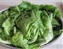 清炒生菜的做法图解1