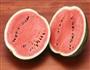 西瓜酒的做法图解1