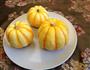 小南瓜蒸血懦米的做法图解4