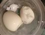 蛋黄沙拉酱的做法图解1