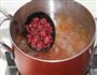 夏日糖品-桃胶银耳蔓越莓的做法图解8