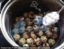 香卤鹌鹑蛋的做法图解2