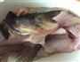 蕃茄鱼的做法图解3