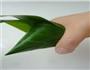 粽子的做法图解5
