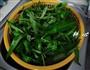 虾酱炒空心菜的做法图解2