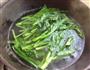 白灼芥蓝的做法图解3