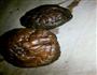 香菇粉丝菜心的做法图解3