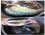 清蒸武昌鱼的做法图解1