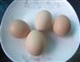 芥末鸡蛋的做法图解3