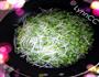 凉拌黑豆芽的做法图解2
