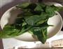 菠菜鸡蛋饼的做法图解1