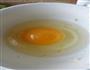 鸡粥的做法图解5