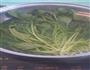 凉拌菠菜的做法图解2