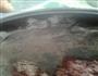 福鼎肉片的做法图解4