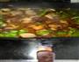 回锅肉的做法图解3