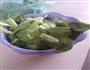 香辣小油菜的做法图解2