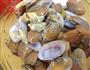 炒花甲螺的做法图解5
