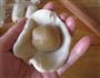 白莲蛋黄酥的做法图解14