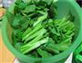 清炒菜心的做法图解2