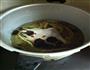 霸王花老鸭汤的做法图解2