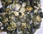 豉香野生小蛤蜊的做法图解3