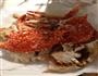 香辣梭子蟹的做法图解5